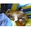 Userbild von beenchen