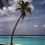 Userbild von dpalsa