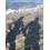 Userbild von SRJ1986