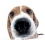 Userbild von JaneDoe