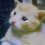 Userbild von Lynni