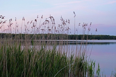 Kanutour Mecklenburgische Seenplatte