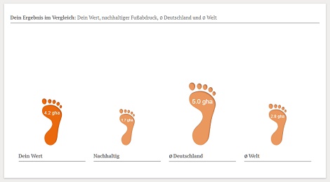 den ökologischen Fußabdruck minimieren Fussabdrucktest