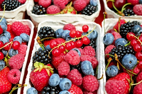 In Klausuren Essen und Trinken Beeren